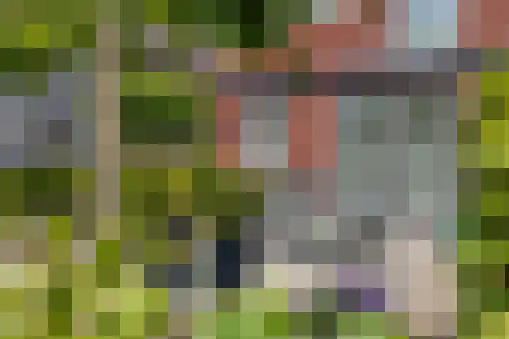 Meeroever 18 Hillegom thumbnail 76