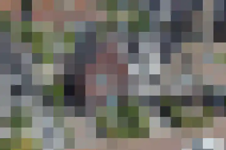 Meeroever 18 Hillegom thumbnail 81