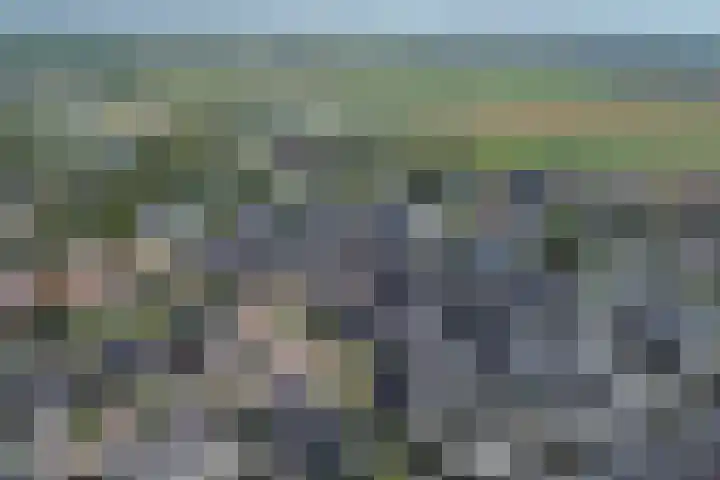 Meeroever 18 Hillegom thumbnail 83