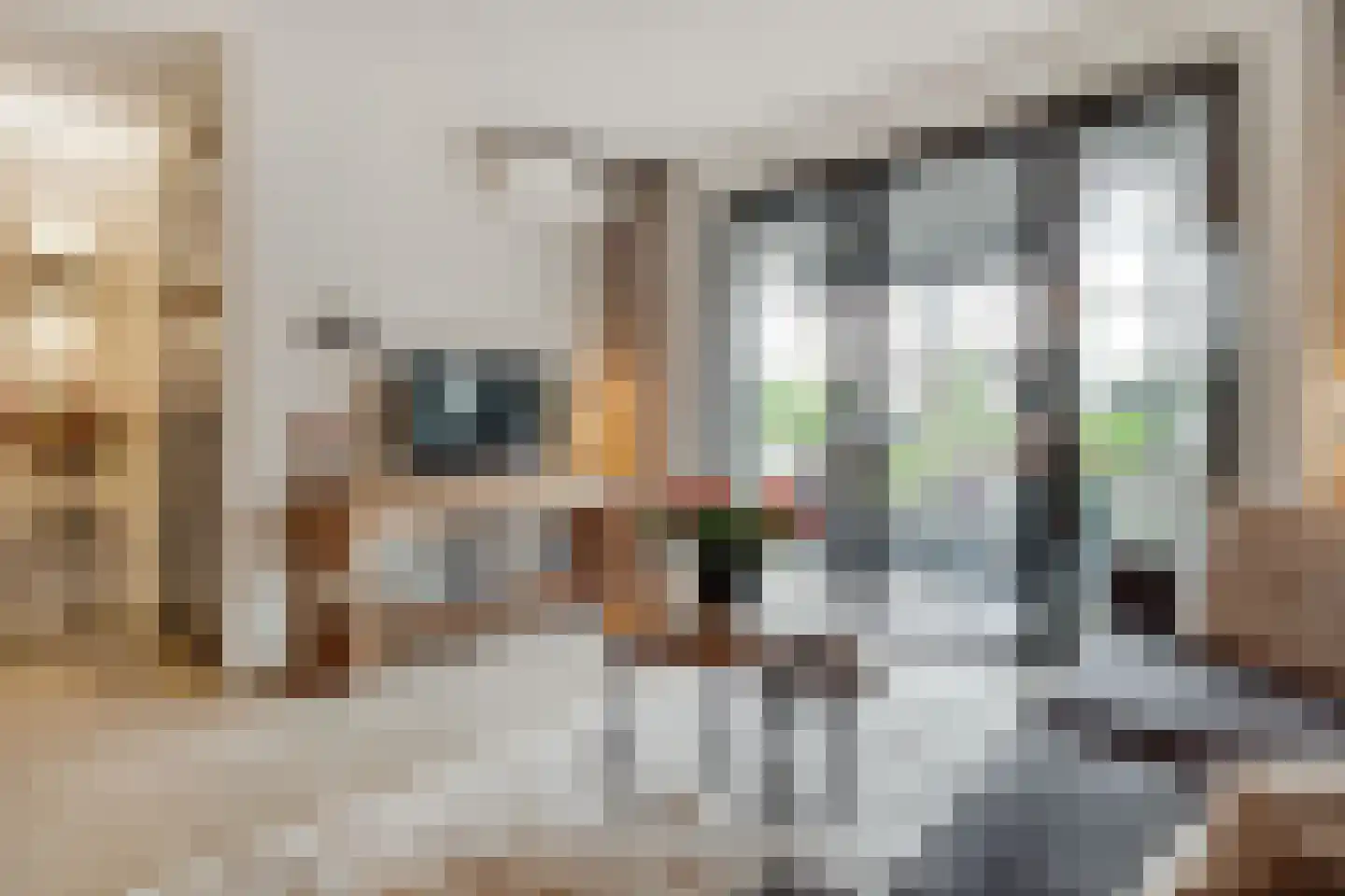 Meeroever 2 Hillegom thumbnail 11