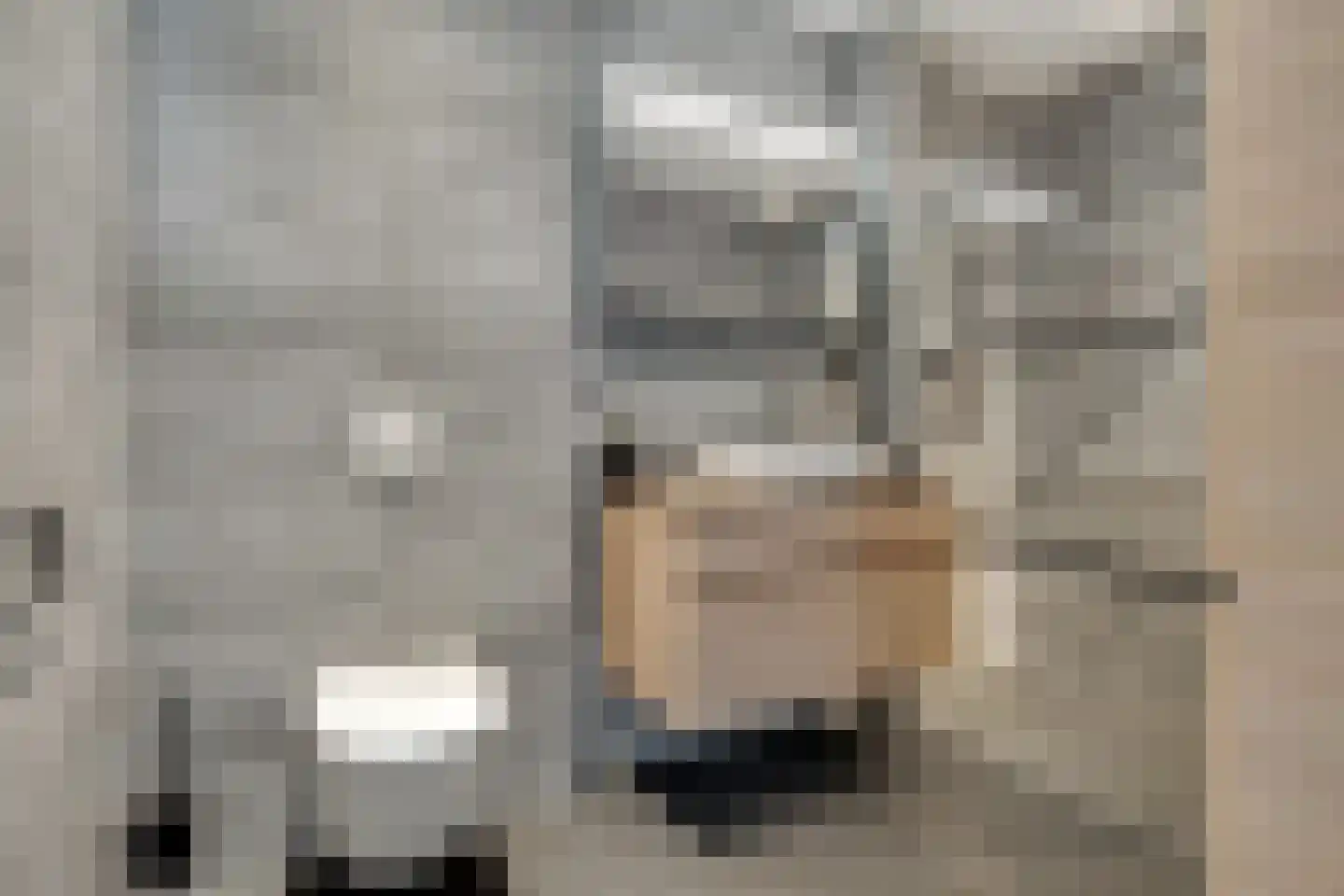 Meeroever 2 Hillegom thumbnail 16