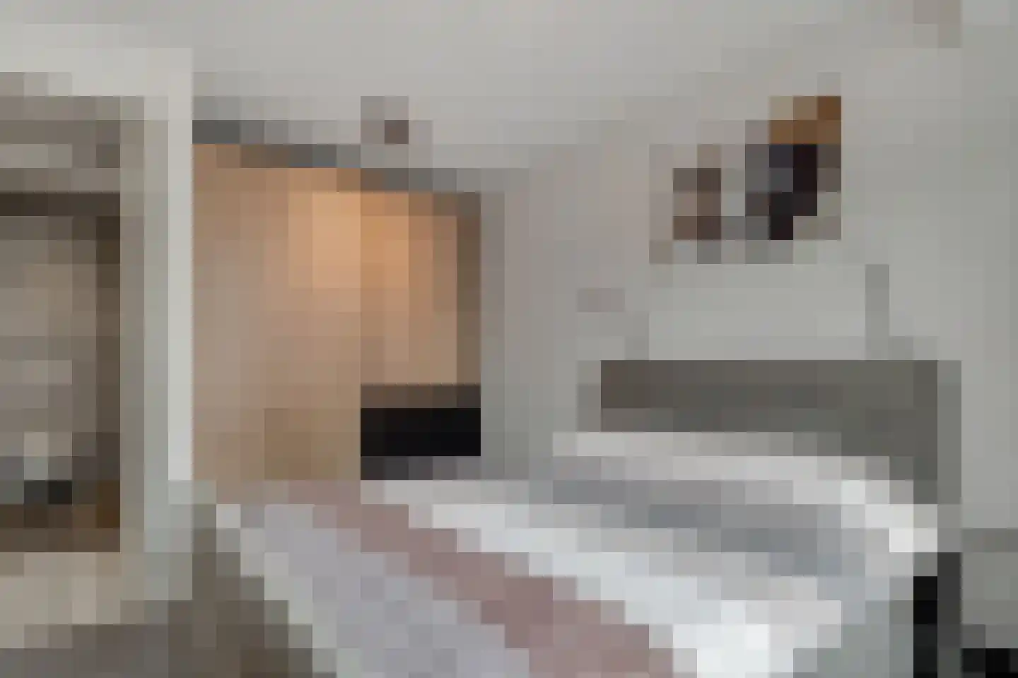 Meeroever 2 Hillegom thumbnail 19