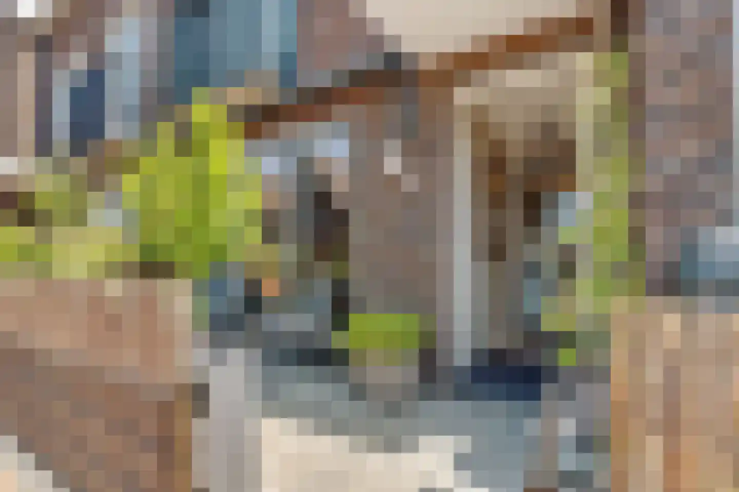 Meeroever 2 Hillegom thumbnail 23