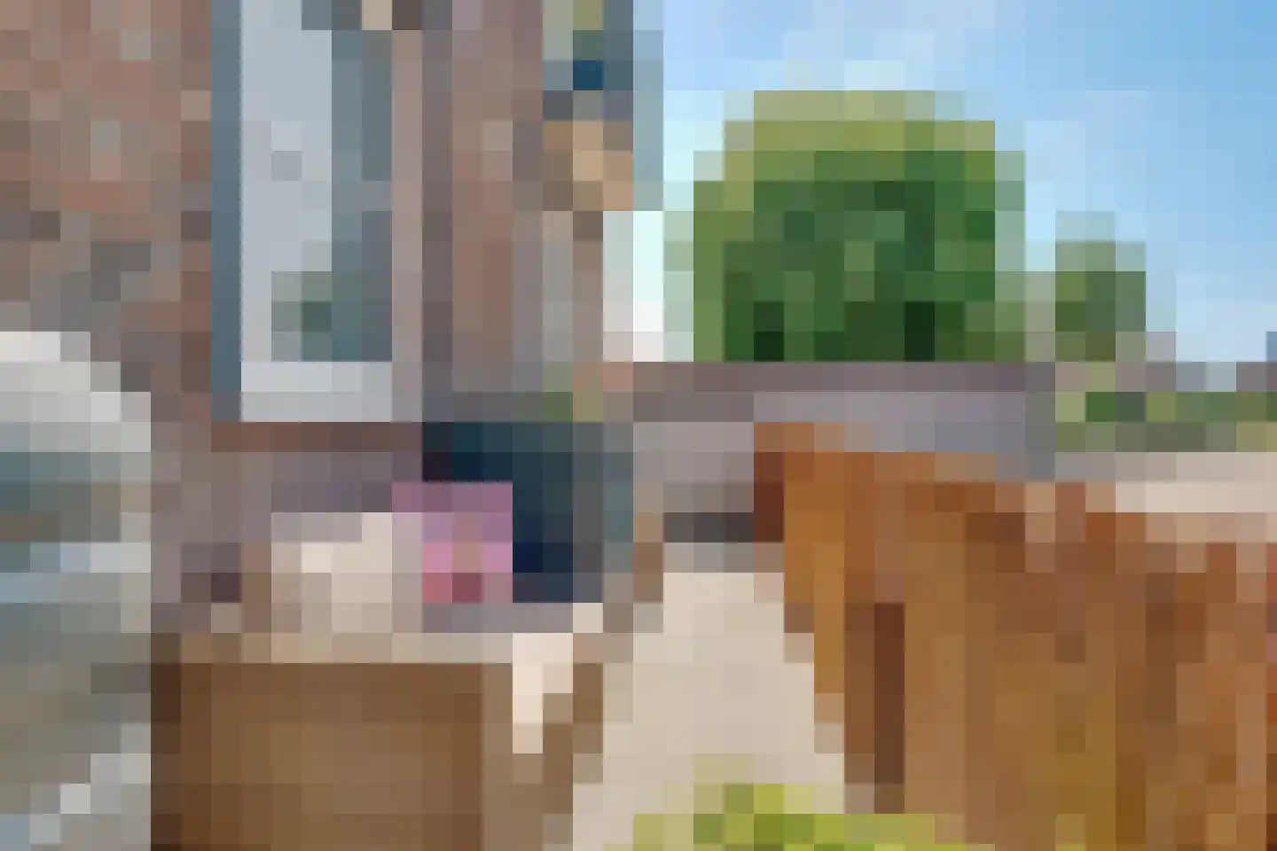Meeroever 2 Hillegom thumbnail 24