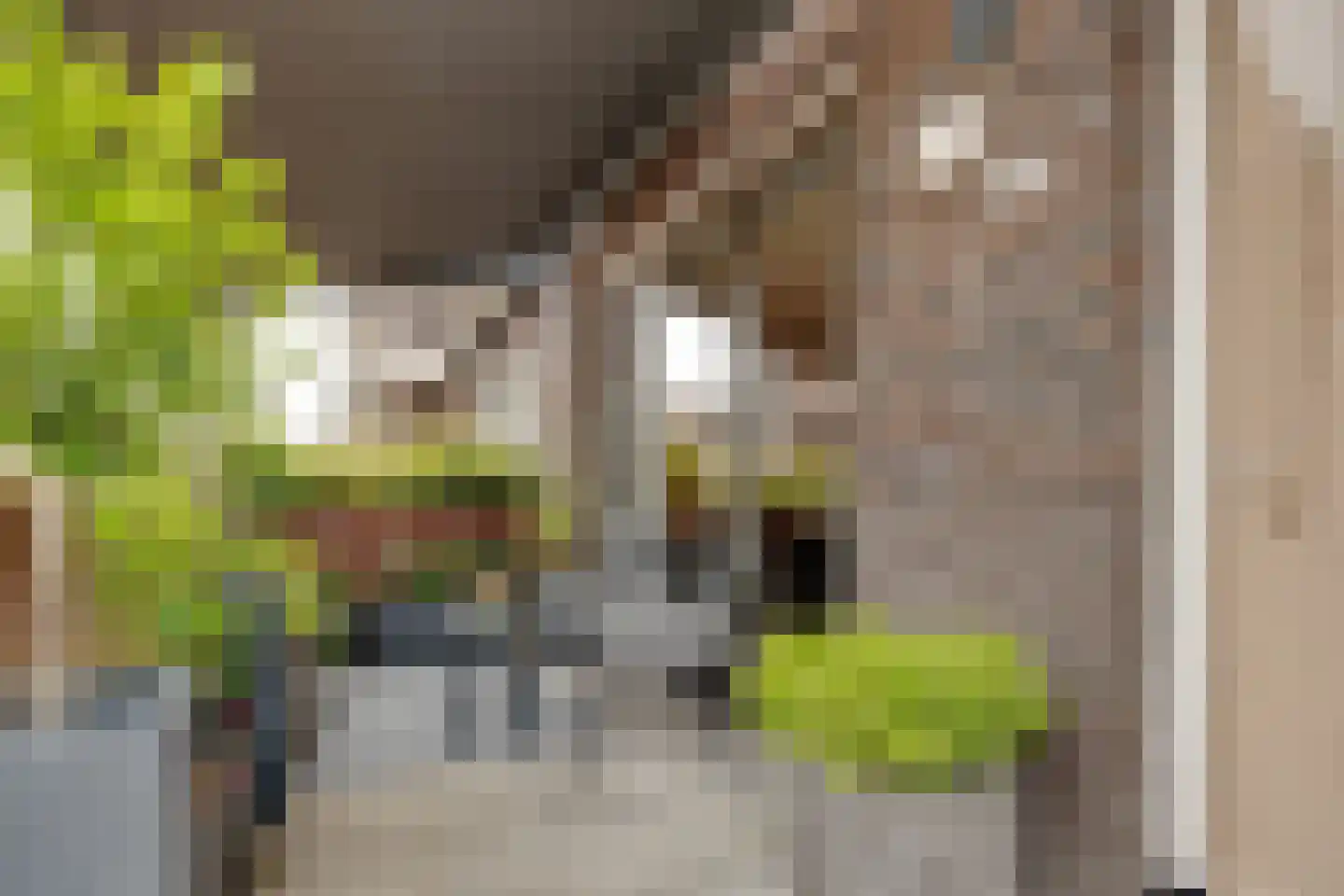 Meeroever 2 Hillegom thumbnail 26