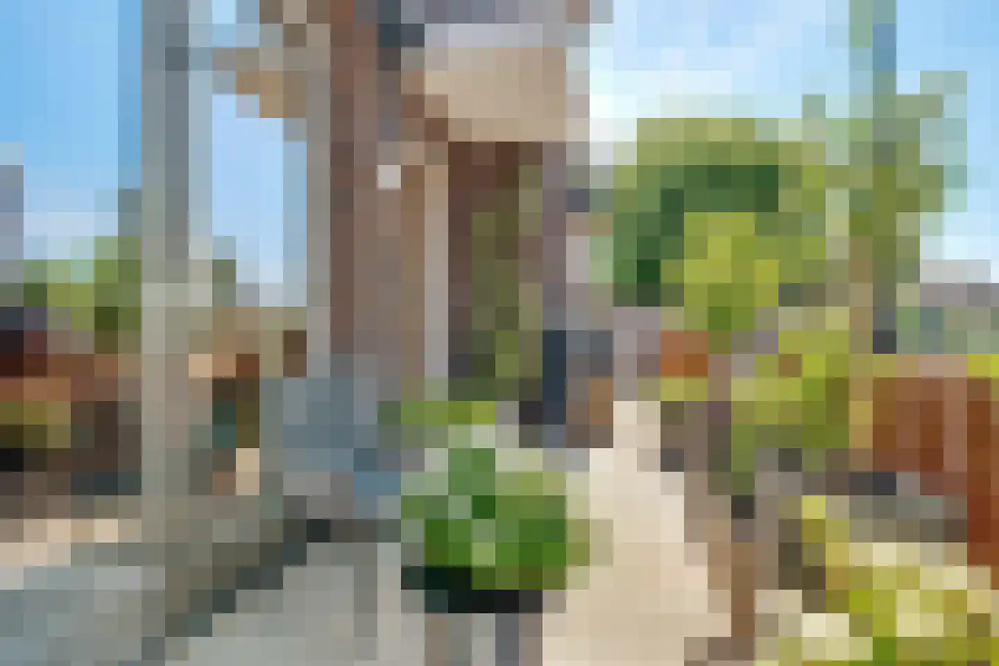 Meeroever 2 Hillegom thumbnail 28