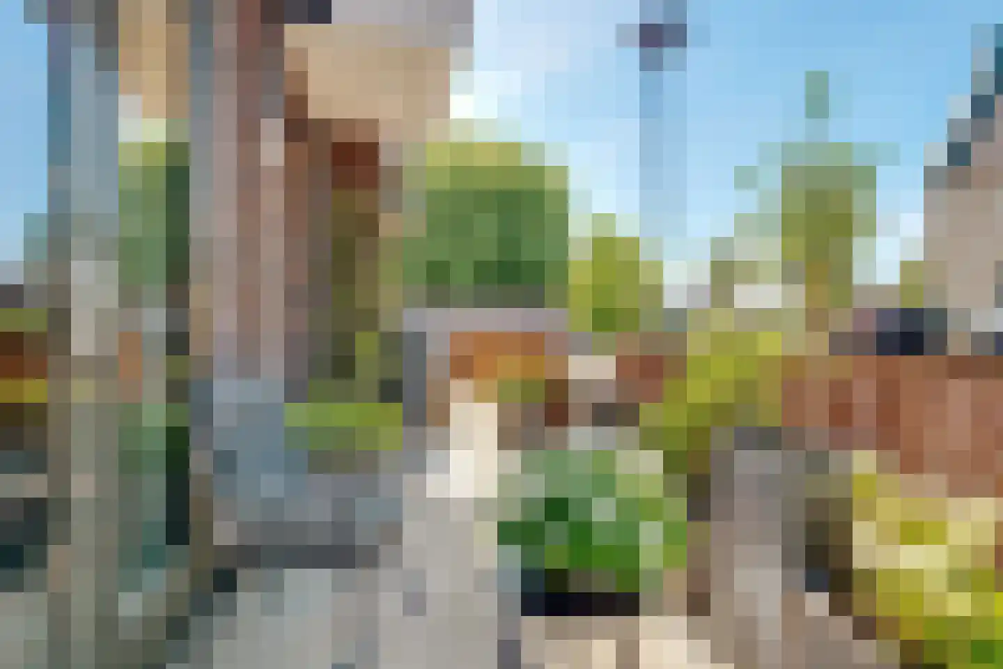 Meeroever 2 Hillegom thumbnail 29