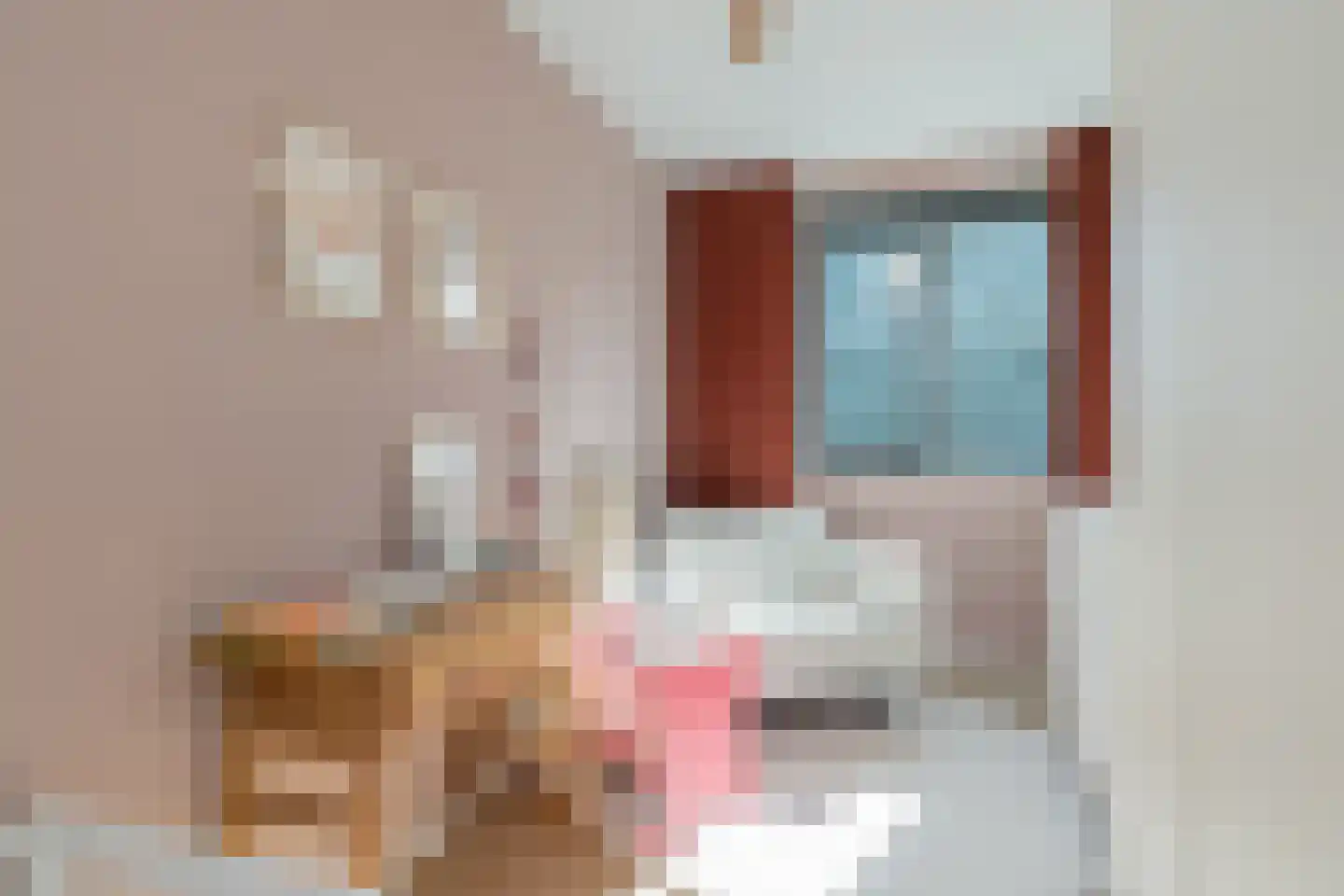 Meeroever 21 Hillegom thumbnail 32