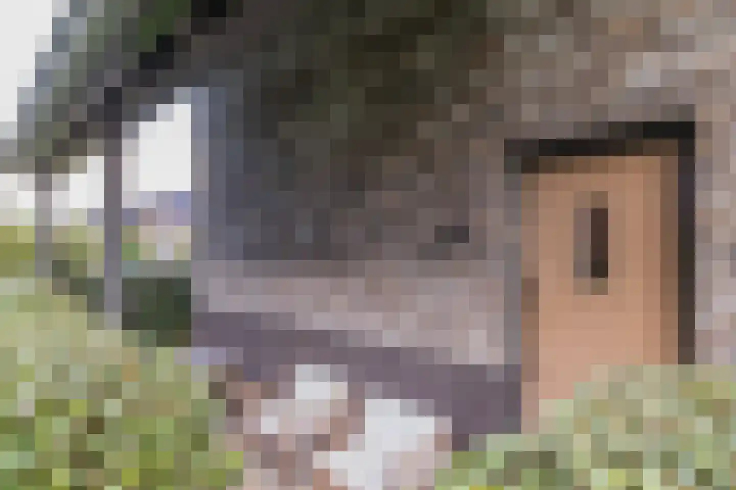 Meeroever 21 Hillegom thumbnail 5
