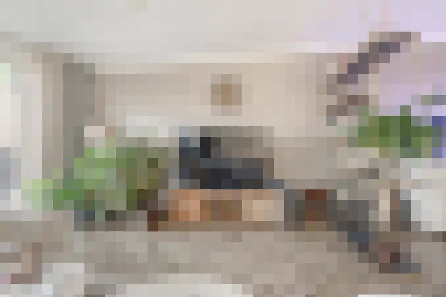 Meeroever 22 Hillegom thumbnail 22