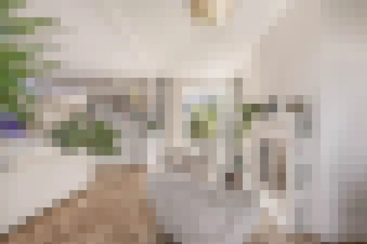 Meeroever 22 Hillegom thumbnail 24