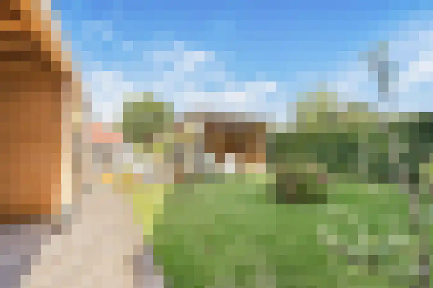 Meeroever 22 Hillegom thumbnail 35
