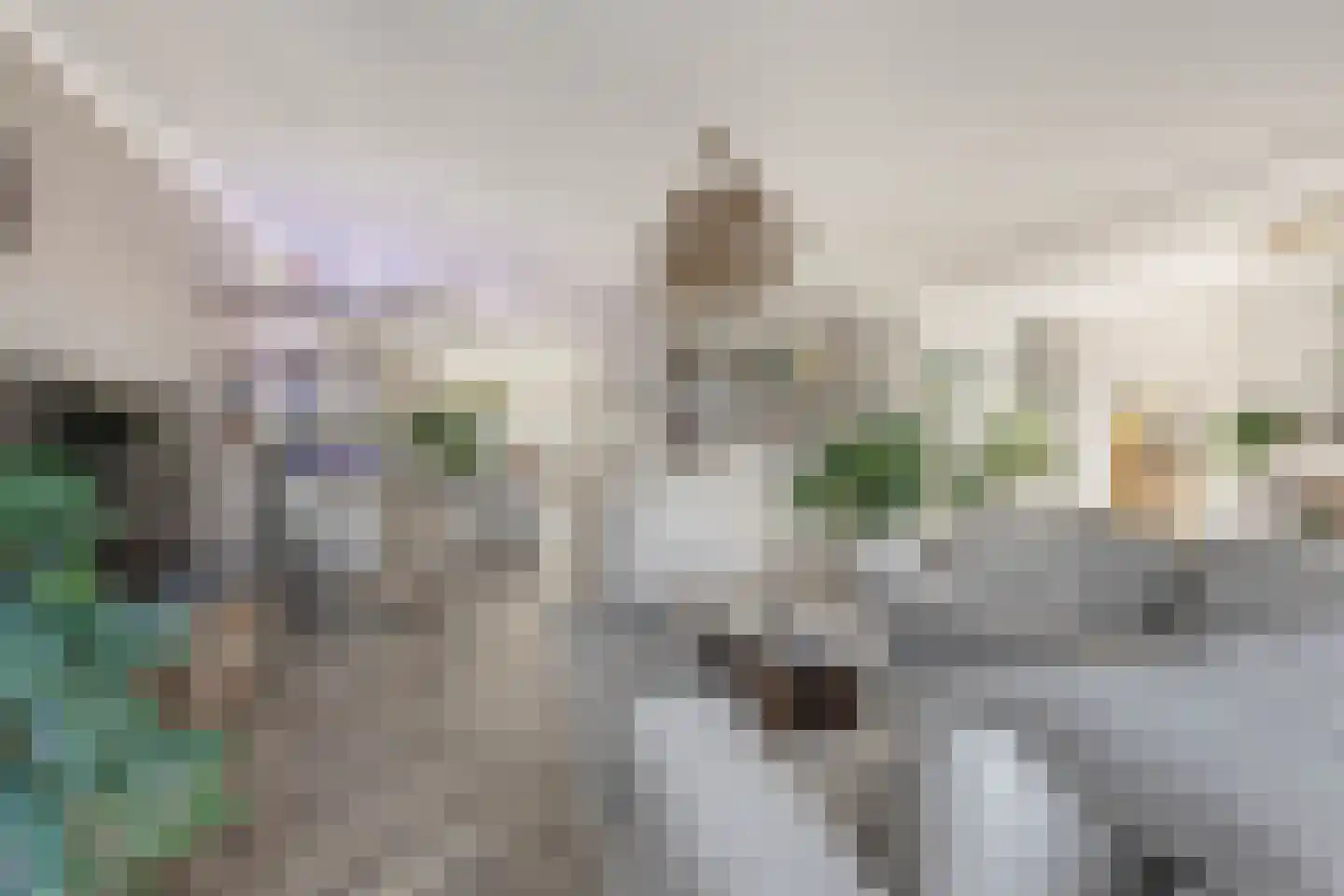 Meeroever 22 Hillegom thumbnail 5
