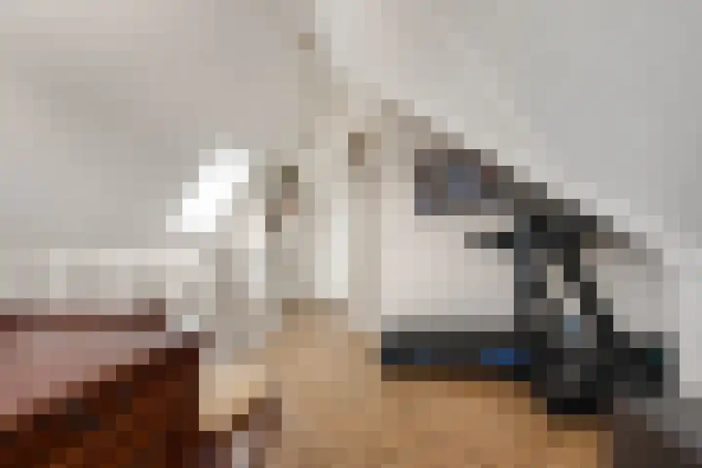 Meeroever 22 Hillegom thumbnail 57