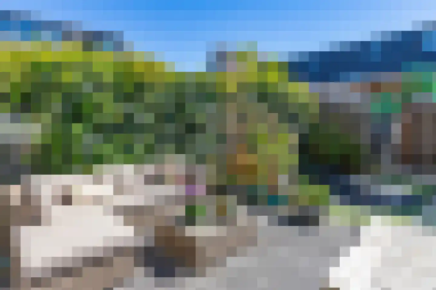 Meeroever 25 Hillegom thumbnail 13