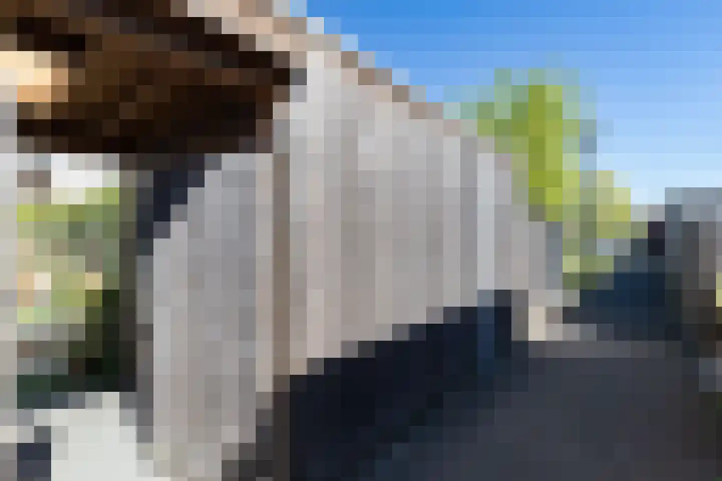 Meeroever 25 Hillegom thumbnail 35