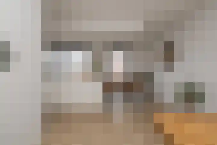 Meeroever 28 Hillegom thumbnail 14