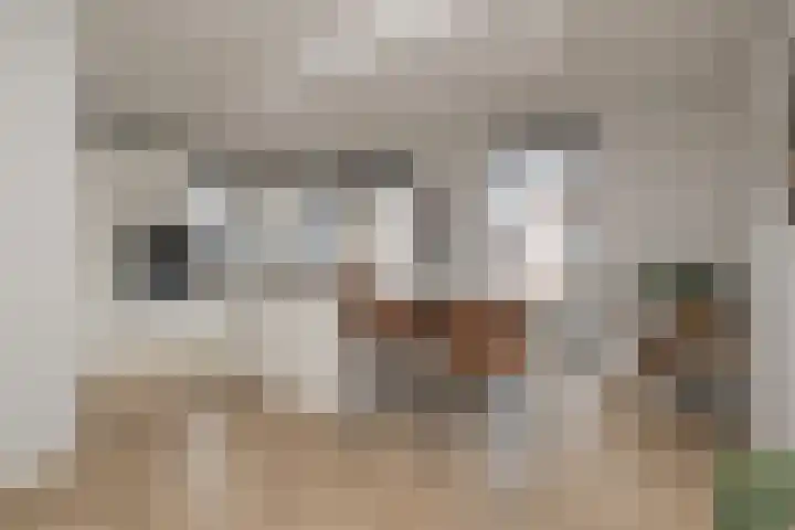 Meeroever 28 Hillegom thumbnail 15