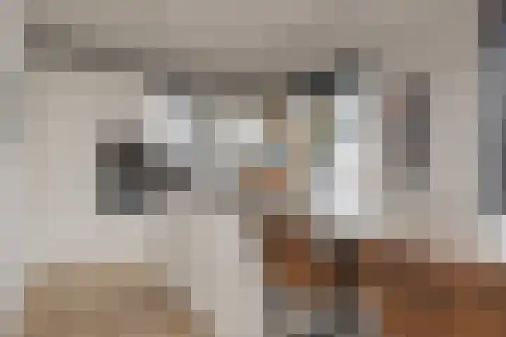 Meeroever 28 Hillegom thumbnail 16