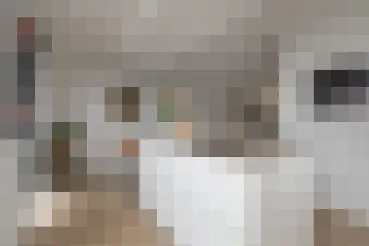 Meeroever 28 Hillegom thumbnail 19