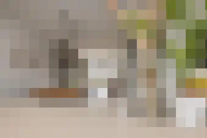 Meeroever 28 Hillegom thumbnail 20