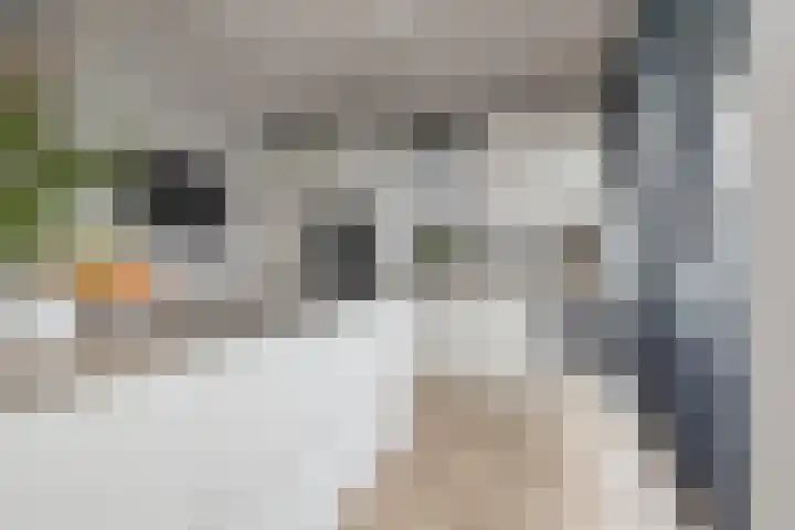 Meeroever 28 Hillegom thumbnail 21
