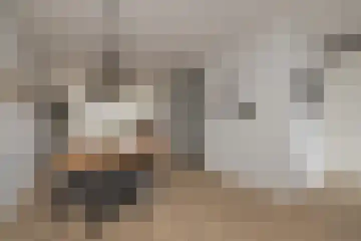 Meeroever 28 Hillegom thumbnail 22