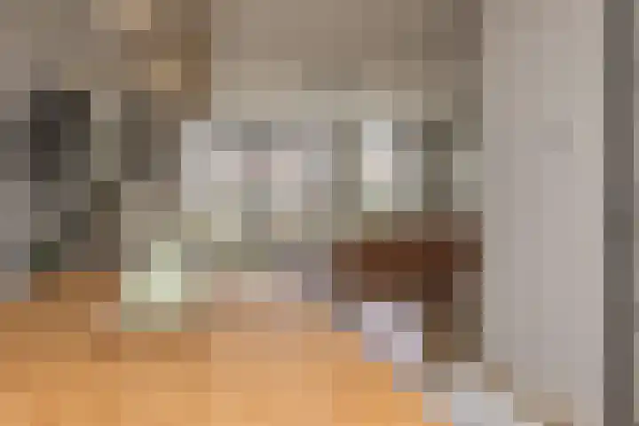 Meeroever 28 Hillegom thumbnail 23