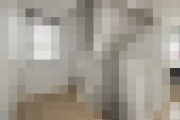 Meeroever 28 Hillegom thumbnail 26