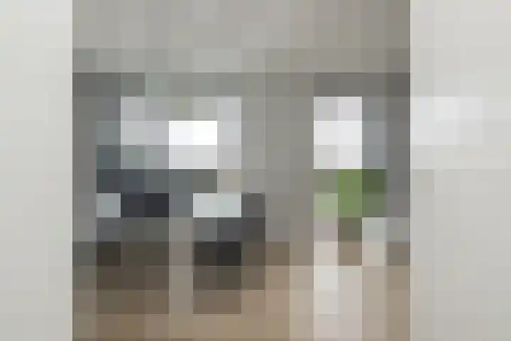 Meeroever 28 Hillegom thumbnail 29