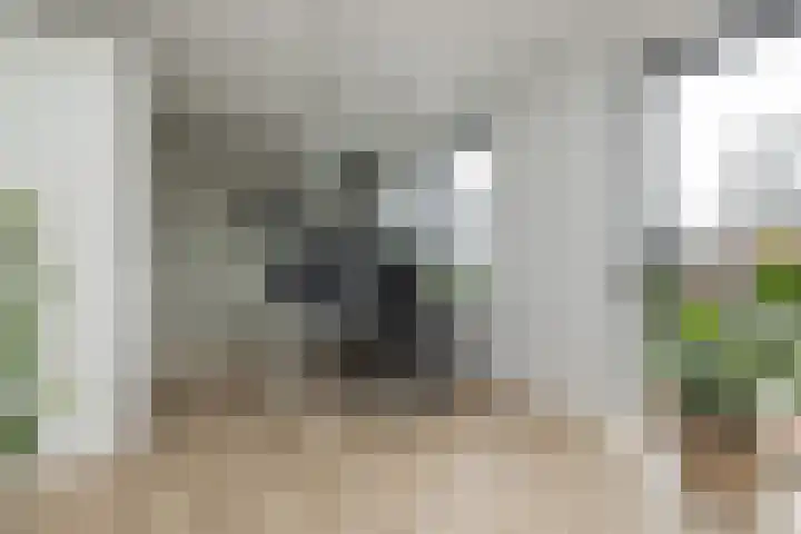 Meeroever 28 Hillegom thumbnail 30