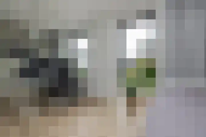 Meeroever 28 Hillegom thumbnail 31