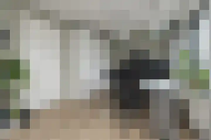 Meeroever 28 Hillegom thumbnail 32