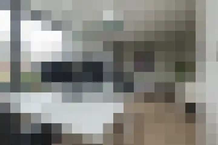 Meeroever 28 Hillegom thumbnail 33