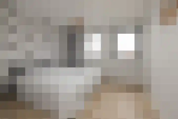 Meeroever 28 Hillegom thumbnail 34