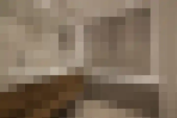 Meeroever 28 Hillegom thumbnail 40