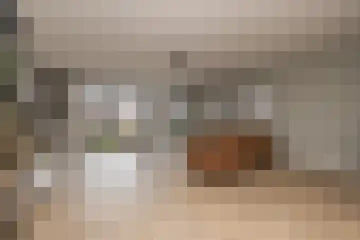 Meeroever 28 Hillegom thumbnail 5