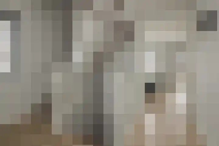 Meeroever 28 Hillegom thumbnail 55
