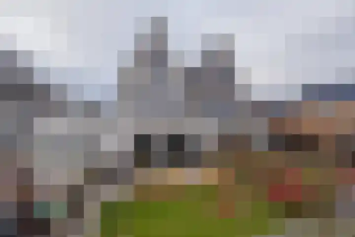 Meeroever 28 Hillegom thumbnail 56