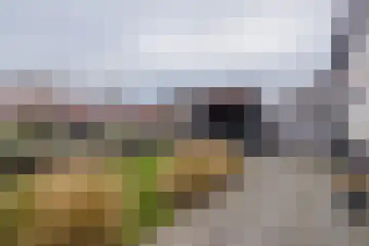 Meeroever 28 Hillegom thumbnail 57