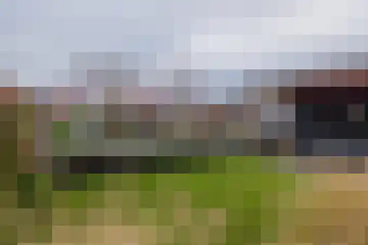 Meeroever 28 Hillegom thumbnail 58