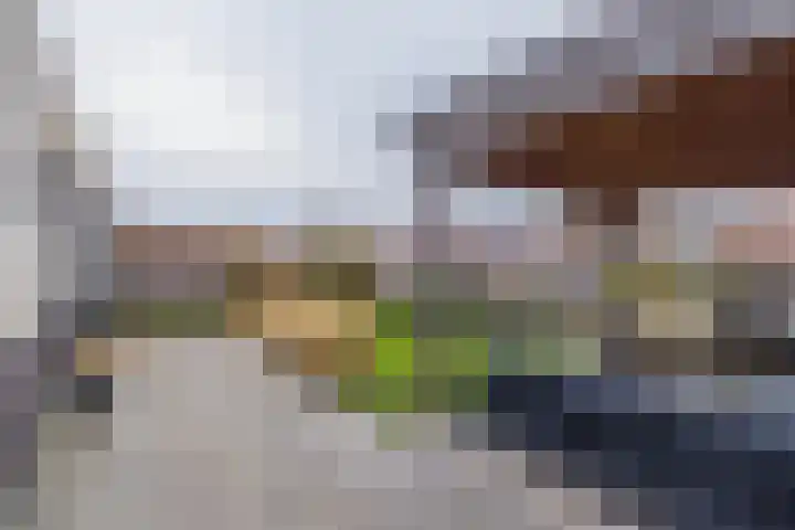 Meeroever 28 Hillegom thumbnail 59