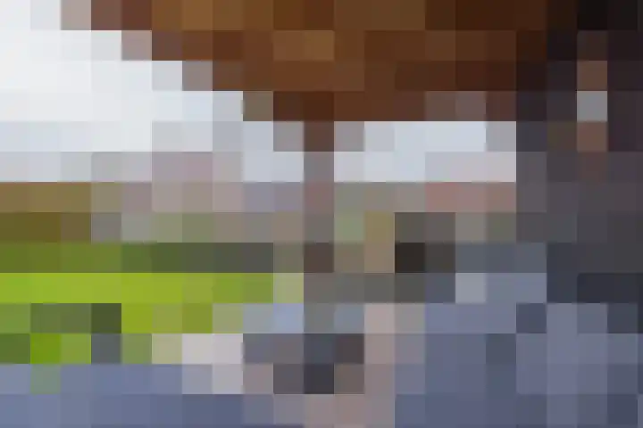 Meeroever 28 Hillegom thumbnail 60