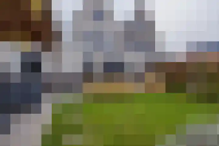 Meeroever 28 Hillegom thumbnail 61
