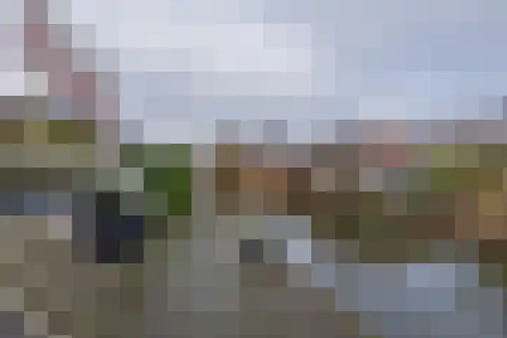 Meeroever 28 Hillegom thumbnail 62