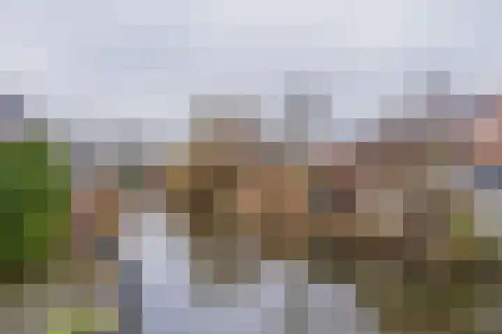 Meeroever 28 Hillegom thumbnail 63