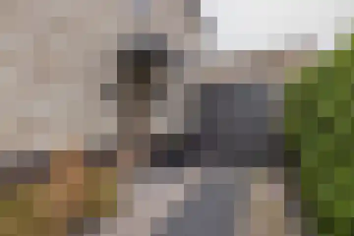Meeroever 28 Hillegom thumbnail 64