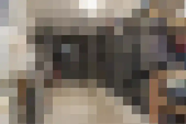 Meeroever 28 Hillegom thumbnail 67