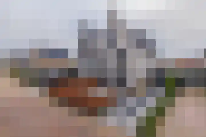 Meeroever 28 Hillegom thumbnail 69