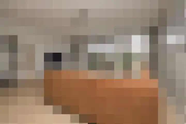 Meeroever 28 Hillegom thumbnail 7